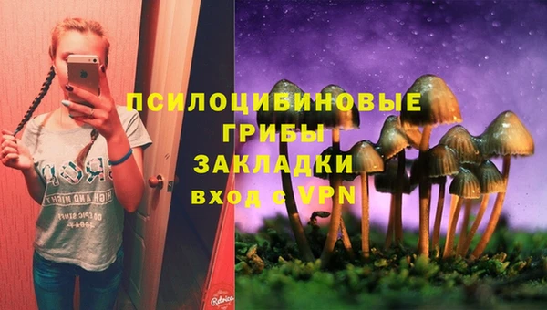 молекула духа Медвежьегорск